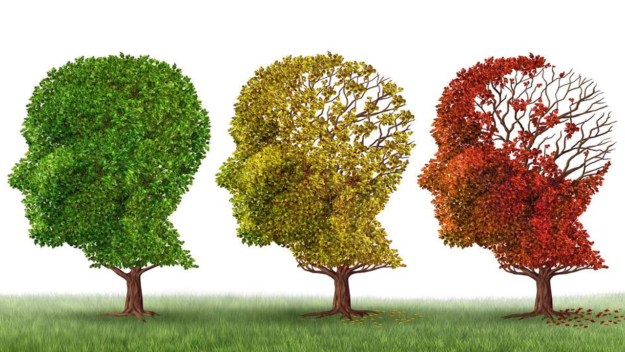 Foto - Bu belirtiler yaşlılık değil, alzheimer olabilir! Unutkanlık mı, tehlike mi? İşte 10 kritik işaret!