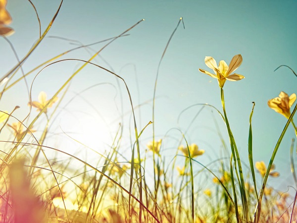 Foto - Bu belirtilere dikkat! Bahar depresyonundan korunmanın yolları