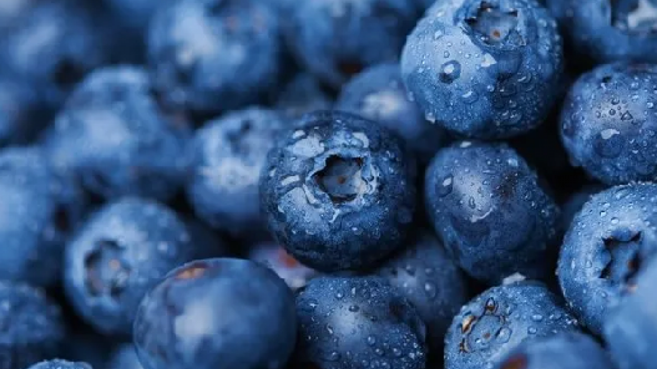 Foto - Bu besin O tıkanıklığa deva oluyor! Vücudunuzu adeta tertemiz yapıyor... Müthiş şifa...