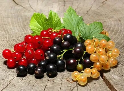 Foto - Bu besini yemeyi bırakmayın! Damarda biriken yağı silip süpürüyor