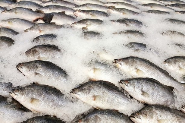 Foto - Bu besinler adeta zehir! İşte beyni bitiren gıdalar...