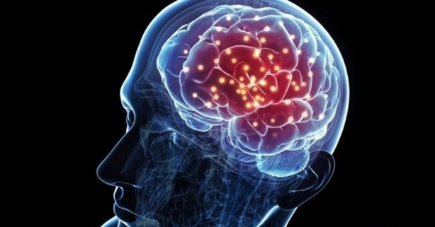 Bu besinler adeta zehir! İşte beyni bitiren gıdalar...