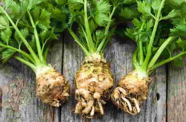 Foto - Bu besinler Akciğerleri temizliyor