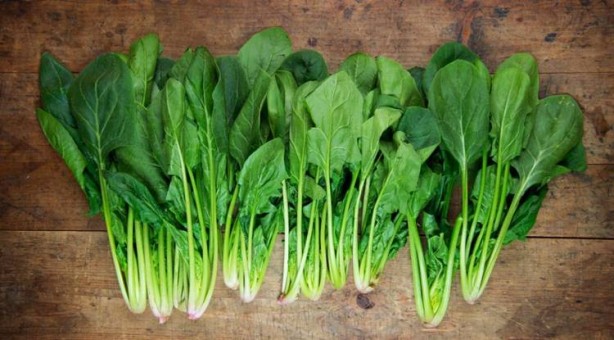 Foto - Bu besinler hafızayı güçlendiriyor!