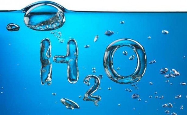 Foto - Bu besinler hafızayı güçlendiriyor!