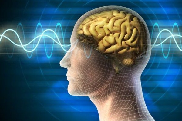 Bu besinler hafızayı güçlendiriyor!