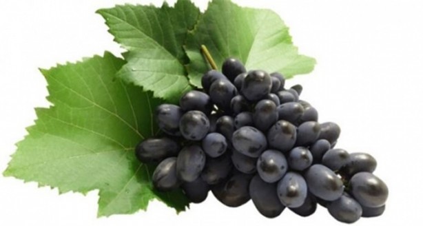 Foto - Bu besinler kanser riskini azaltıyor