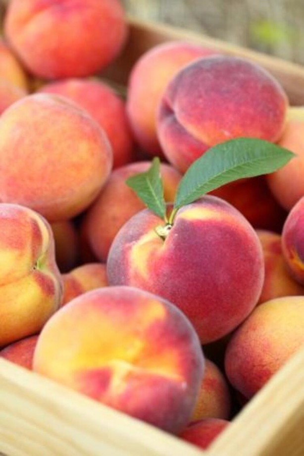 Foto - Bu besinler kanseri önlüyor! Uzmanından kritik uyarılar