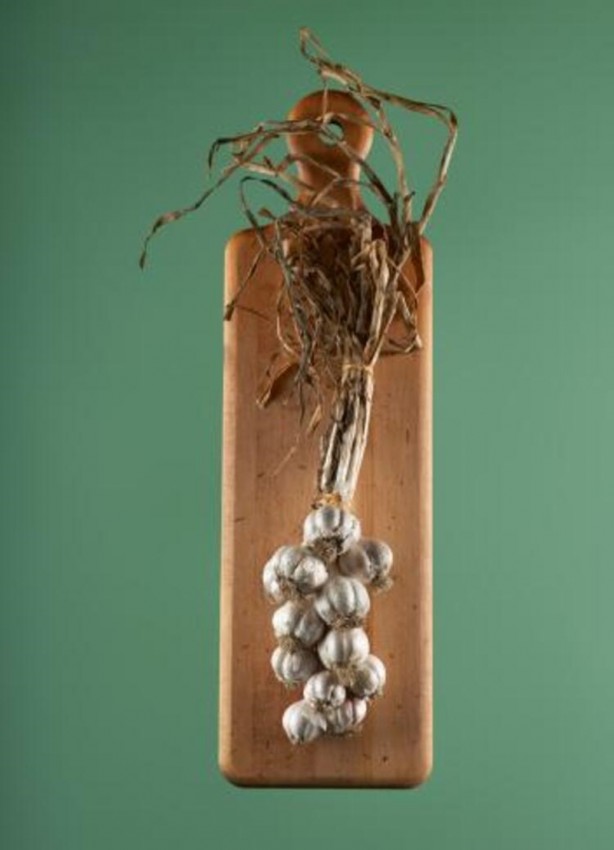 Foto - Bu besinler kanseri önlüyor! Uzmanından kritik uyarılar