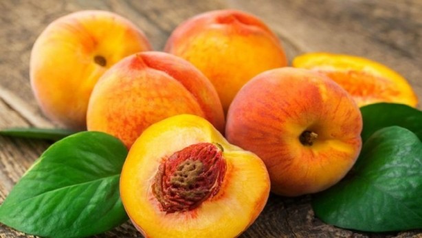 Foto - Bu besinler kanseri önlüyor! Uzmanından kritik uyarılar