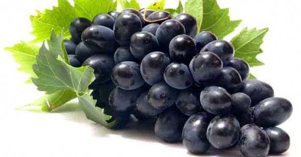 Foto - Bu besinler kanseri önlüyor! Uzmanından kritik uyarılar