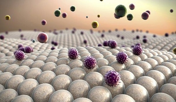 Foto - Bu besinler karaciğer dostu! Karaciğeri temizlemenin formülü