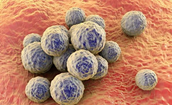 Foto - Bu besinler karaciğer dostu! Karaciğeri temizlemenin formülü