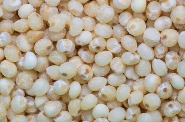 Foto - Bu besinler magnezyum deposu! Kalp ritmini düzenlemeye yardımcı oluyor!