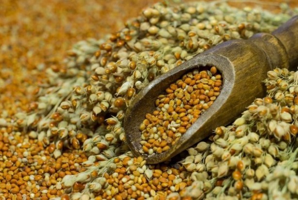 Foto - Bu besinler magnezyum deposu! Kalp ritmini düzenlemeye yardımcı oluyor!