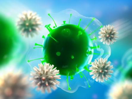 Foto - Bu besinler ne virüs bırakıyor ne bakteri