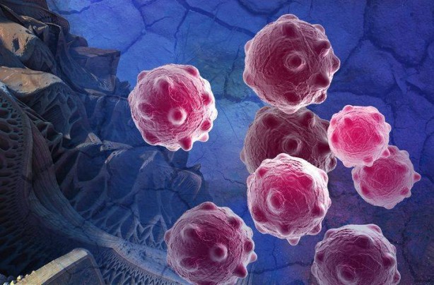 Foto - Bu besinler ne virüs bırakıyor ne bakteri