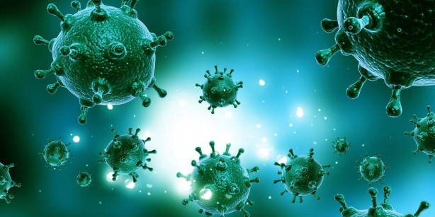 Foto - Bu besinler ne virüs bırakıyor ne bakteri