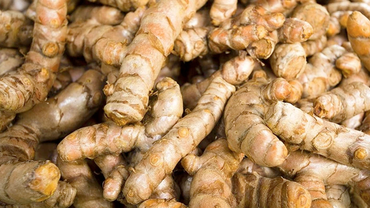 Foto - Bu besinler sağlığa faydalı mı? Zararlı mı? Herkesin merak ettiği sorular