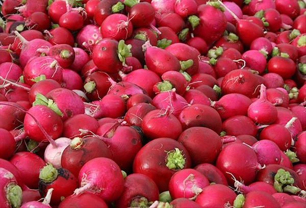 Foto - Bu besinler şifa kaynağı! Kış boyu hasta olmamak için tüketmeniz gereken 10 besin