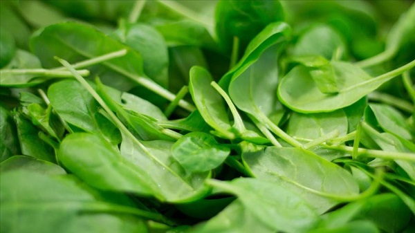 Foto - Bu besinler şifa kaynağı! Kış boyu hasta olmamak için tüketmeniz gereken 10 besin