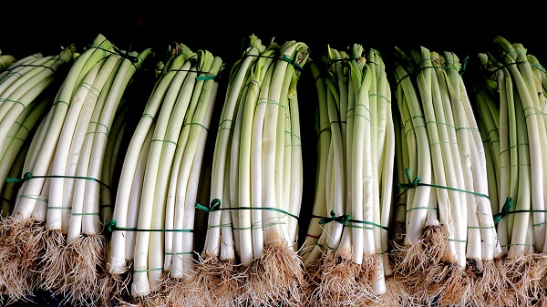 Foto - Bu besinler şifa kaynağı! Kış boyu hasta olmamak için tüketmeniz gereken 10 besin
