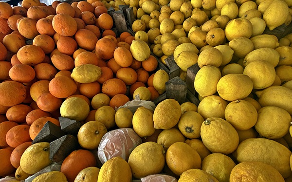 Foto - Bu besinler şifa kaynağı! Kış boyu hasta olmamak için tüketmeniz gereken 10 besin
