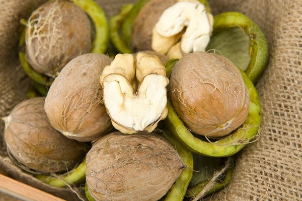 Foto - Bu besinler şifa kaynağı! Kış boyu hasta olmamak için tüketmeniz gereken 10 besin