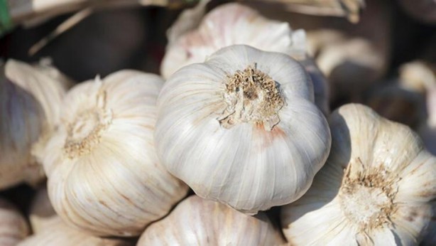 Foto - Bu besinler sigara bıraktırıyor! Her gün bir tane yerseniz...