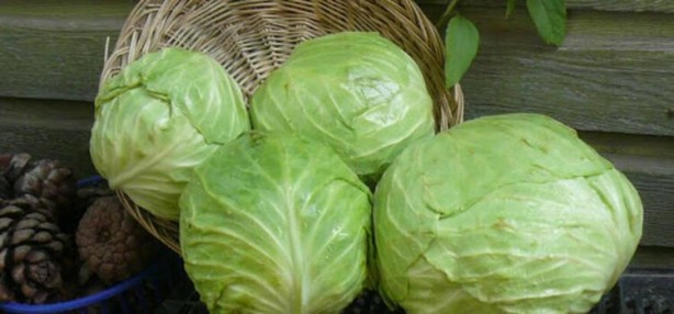 Foto - Bu besinler sigara bıraktırıyor! Her gün bir tane yerseniz...