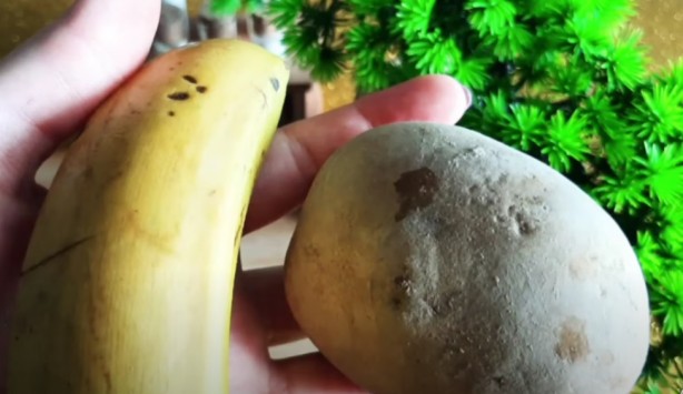 Foto - Bu besinler tansiyonu düşürüyor