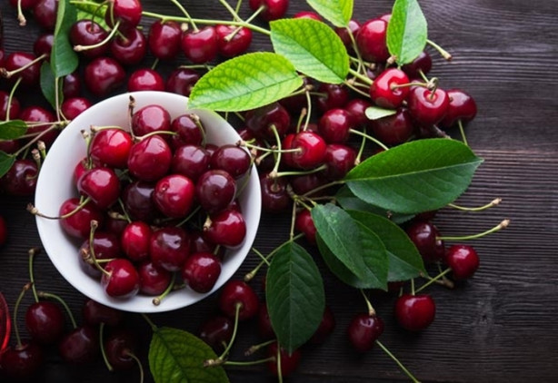 Foto - Bu besinler uyku getiriyor!