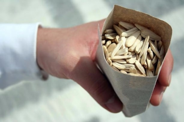 Foto - Bu besinler yaşlanma karşıtı!