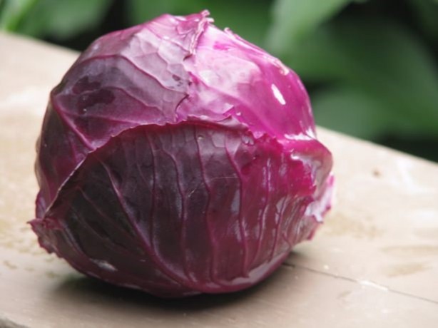 Foto - Bu besinler yaşlanma karşıtı!