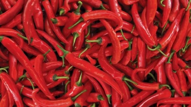 Foto - Bu besinler yaşlanma karşıtı!