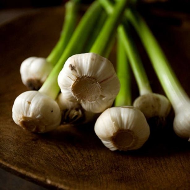 Foto - Bu besinler yaşlanma karşıtı!