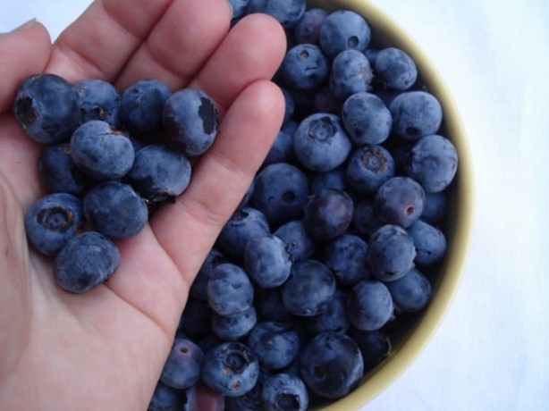 Foto - Bu besinler yaşlanma karşıtı!