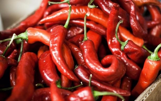 Foto - Bu besinler yaşlanma karşıtı!