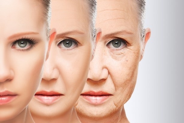 Foto - Bu besinler yaşlanma karşıtı!