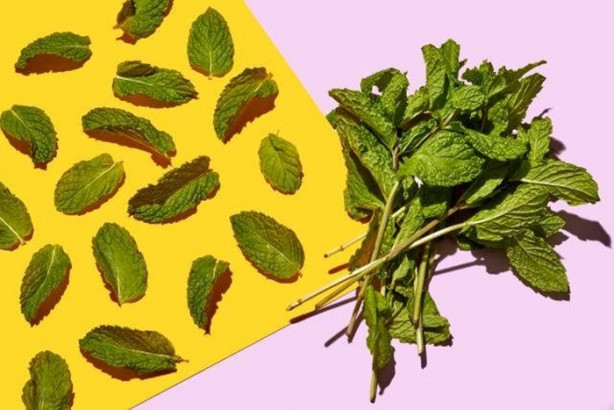 Foto - Bu besinlerden kaçını tüketiyorsunuz? İşte en sağlıklı 50 besin...