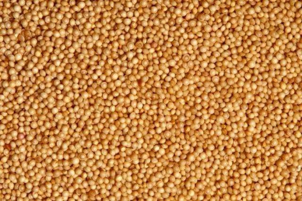 Foto - Bu besinlerden kaçını tüketiyorsunuz? İşte en sağlıklı 50 besin...