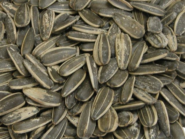 Foto - Bu besinlerden kaçını tüketiyorsunuz? İşte en sağlıklı 50 besin...