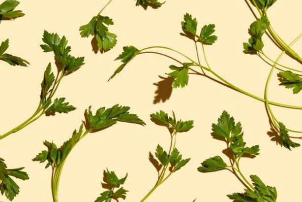 Foto - Bu besinlerden kaçını tüketiyorsunuz? İşte en sağlıklı 50 besin...