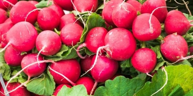 Foto - Bu besinlere dikkat! Bir araya geldiklerinde zehir saçıyorlar