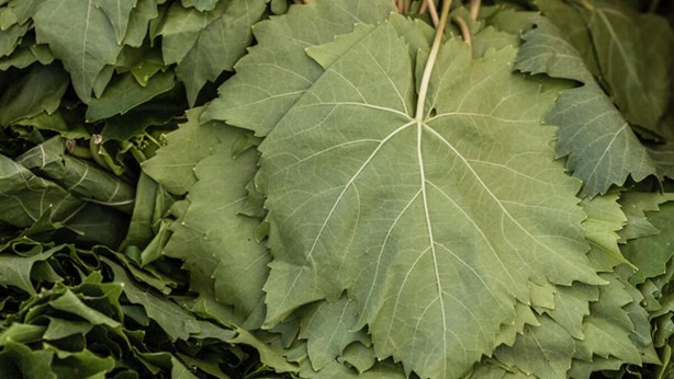 Foto - Bu besinlere dikkat! Kansere neden oluyor