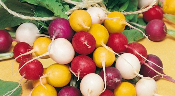 Foto - Bu besinlere dikkat! Kötü ter kokusuna neden oluyorlar