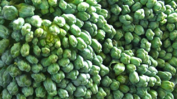 Bu besinleri eksik etmeyin! Kolesterolü çok hızlı düşürüyor