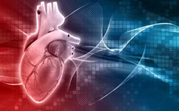 Bu besinleri evinizden eksik etmeyin! 4 saatte vücutta temizlik sağlıyor