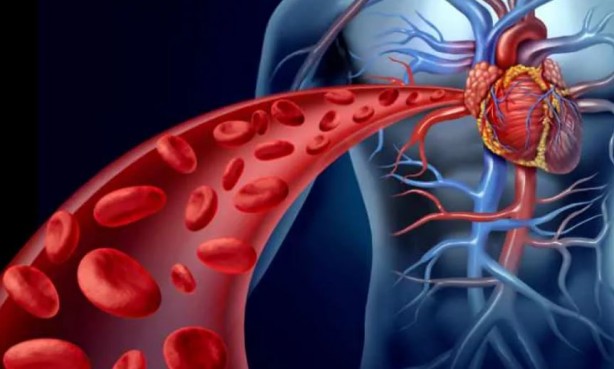 Foto - Bu besinleri evinizden eksik etmeyin! 4 saatte vücutta temizlik sağlıyor