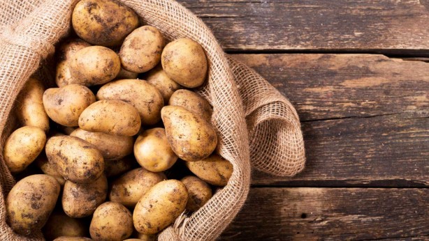 Foto - Bu besinleri sakın buzdolabında saklamayın